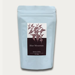 �����ҡ�Ʀ 100��